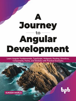 cover image of A Journey to Angular Development